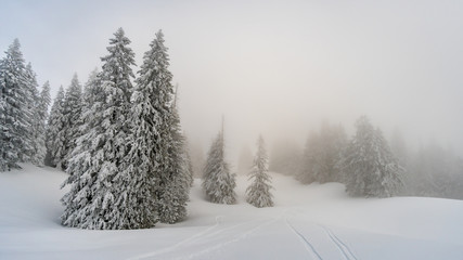 Obraz na płótnie Canvas Snowshoe tour on the Hochgrat in the Allgau