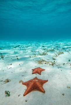 El cielo en Cozumel