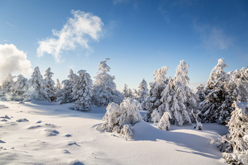 Winterlandschaft im Harz