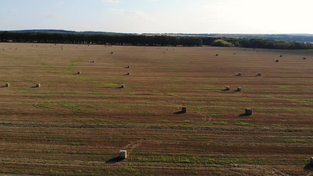 Haystack rolls on agriculture field landscape. Haystack harvesting field. Agriculture haystack harvest. Agriculture field haystack harvest scene