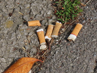 Old cigarette butts
