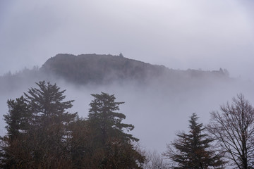 Valley with of trees covered by fog