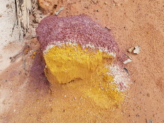 Different colored sandstone at the riverside of the Rio Negros at Manaus. Location: Praia da Lua,...