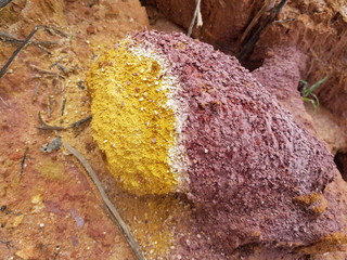 Different colored sandstone at the riverside of the Rio Negros at Manaus. Location: Praia da Lua,...