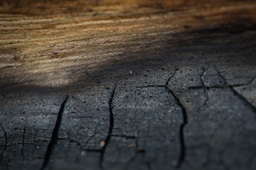 Holz verkohlt