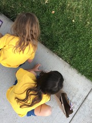 Sisters are being scientists and are on an outdoor bug exploration.