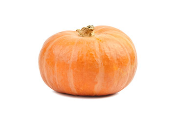Squash, one whole pumpkin isolated on white background