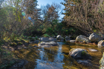 Panoramic view of a little lake down a valley, with a mountain full of trees on the back