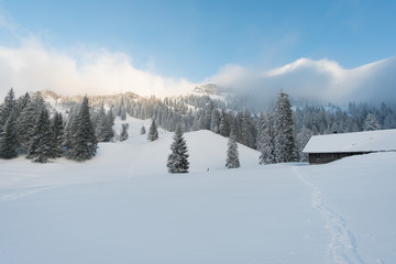 Obraz premium Snowshoe tour on the Hochgrat in the Allgau