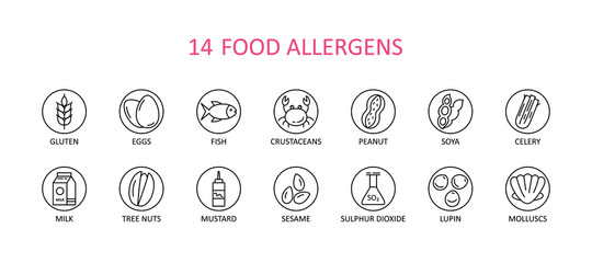 14 round food allergens icon. Vector set of 14 icons. Collection includes gluten, fish, egg, crustacean, peanut, lupin, soya, milk, trees nuts, mustard, sesame, sulphur dioxide. - 328180991