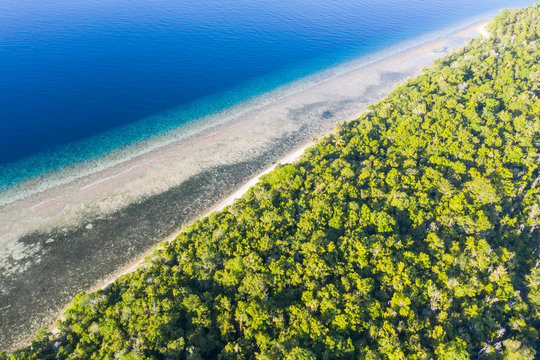 Halmahera Images – Browse 849 Stock Photos, Vectors, and Video | Adobe ...