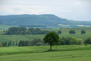 walking in the area aorund Hanover