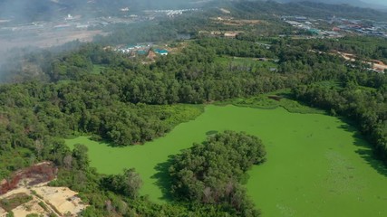 4K aerial footage of Algae blooms water green surface on the water pollution water nature and environmental with drift and flow at the edge of a lake in summer. Ecological disaster concept.
