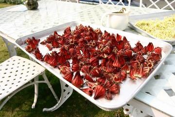 Close up shot of drying the Hibiscus sabdariffa in a plate