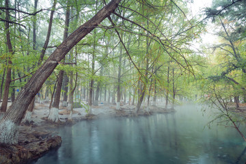 Hot Spring, Blurred photo of morning fog over a lake in cold autumn weather in half moon san luis potosi