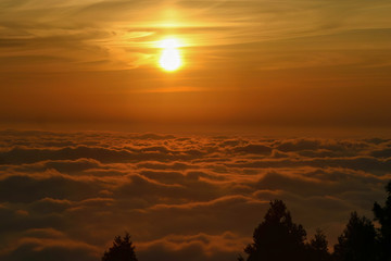 Naklejka premium The beautiful sunset with cloud sea at Alishan