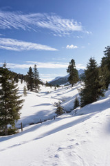 Winter mountain landscape with a stream in the Schonfeld area, Salzburger Lungau, Austria, Europe. Winter and Christmas background. Vertical image.