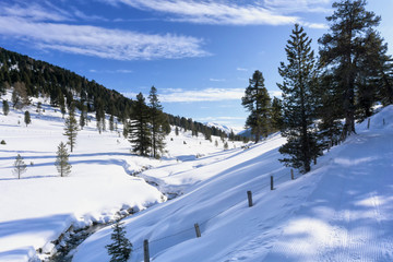 Winter mountain landscape with a stream in the Schonfeld area, Salzburger Lungau, Austria, Europe. Winter and Christmas background.