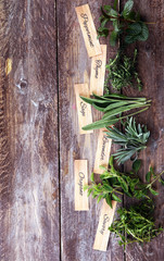 Fototapeta na wymiar Homegrown and aromatic herbs on rustic background with sage and peppermint with labels