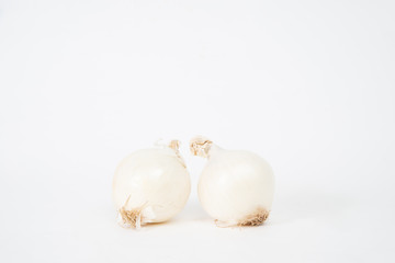 Obraz na płótnie Canvas Garlic onion on a white background. The concept of food and cooking. Eating vegetables and healthy nutrition. Eating white onions, adding to dishes.