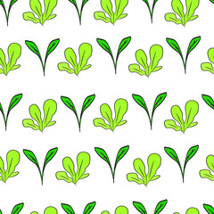 Sprouts seamless pattern.