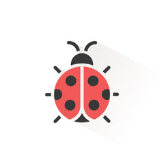 Fototapeta premium Ladybug. Isolated color icon. Animal vector illustration