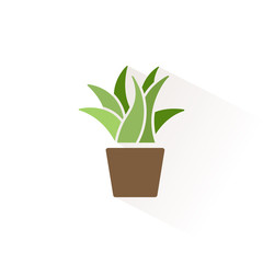 Plant. Isolated color icon. Spring vector illustration