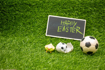 Soccer Easter with football on green grass
