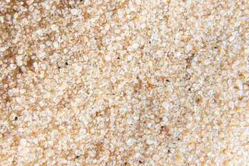 Macro view of and of the beach background. Top view