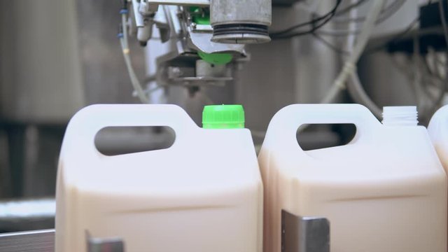 packaging plastic containers with liquid eggs yolk moving on automated conveyor