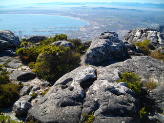 Cape Town