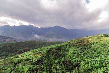 Panorama of mountains forest scenery hills at dawn fog