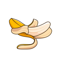 Fototapeta na wymiar A banana on isolated white background