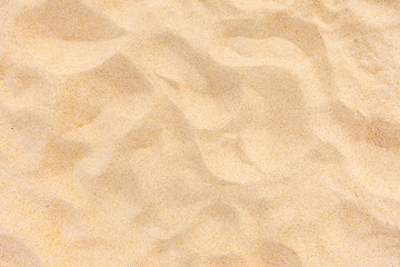 Plakat Closeup shot of sand texture on the beach as background