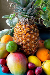 fruits on a background