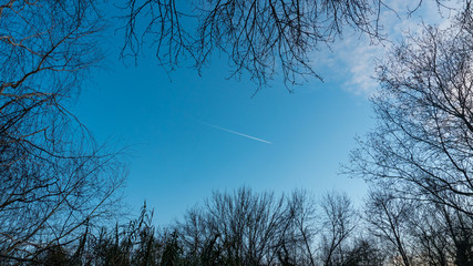 Fototapeta na wymiar Avión en cielo invernal 