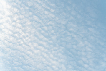 Obraz premium Cirrus and Altocumulus Clouds on blusky 