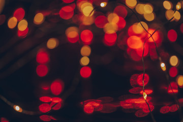 Christmas lights