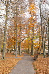 Fototapeta premium Iconic Mediaeval Town in Germany During Autrumn