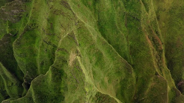 Top view over the steeply sloping wavy rocky ridges of Hawaiian mountainous formations. Tropical exotic relief of the island is on the shot. Vibrant greenery cover the surface of the cliffs. Aerial,4K