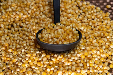 Popcorn corn grains on a kitchen table and household items