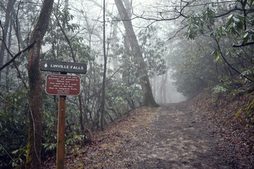 Trail to Linville Falls