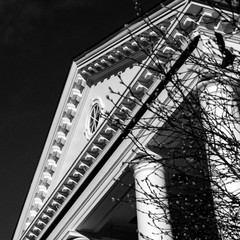 Branches reaching out