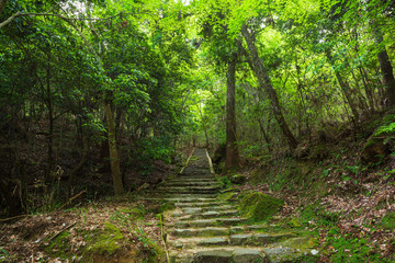 登山道の石段