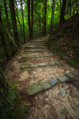 登山道の石段
