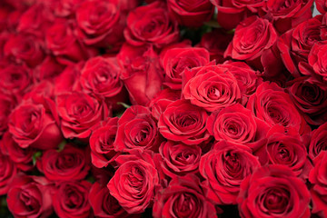 結婚や恋愛をイメージした真っ赤バラの花束