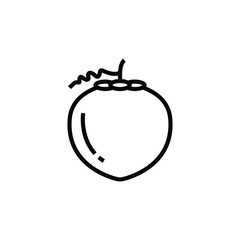 Coconut thin icon