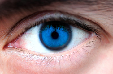 Obraz premium Close-up of the human perfect blue eyes for perfect vision.Health concept