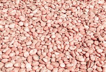 brown  pebble stone texture  background