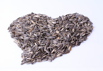 Sunflower seed on white background